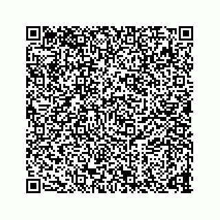 vCard 73836743296