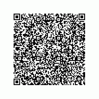 vCard 73842238110
