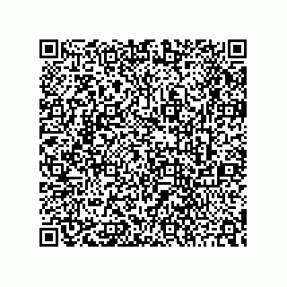 vCard 73842290313