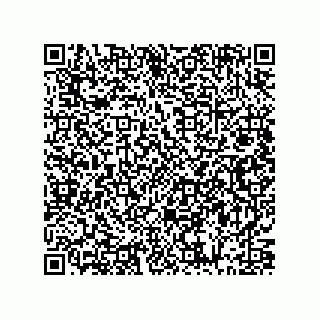 vCard 73842390337