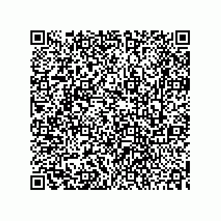 vCard 73842390371