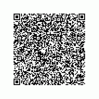 vCard 73842390381