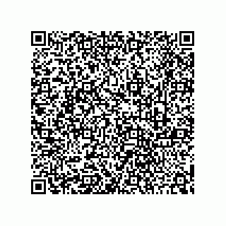 vCard 73842699931