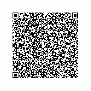 vCard 73843210331