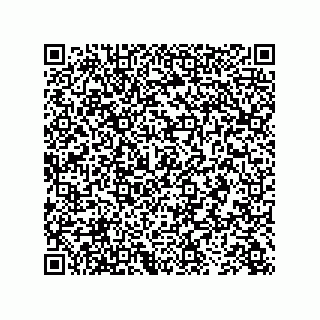 vCard 73843301315