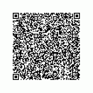 vCard 73843301333