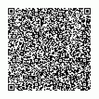 vCard 73843334000