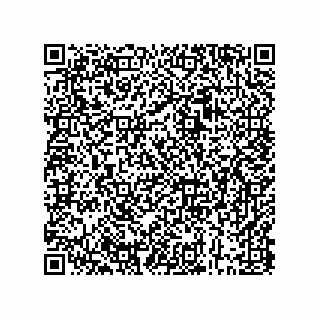 vCard 73843340288
