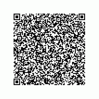 vCard 73843340299
