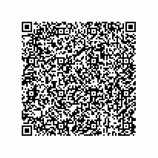 vCard 73843340311