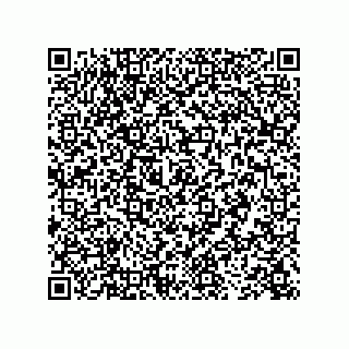 vCard 73843340313