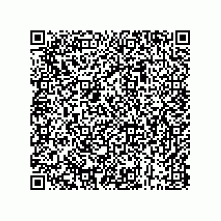 vCard 73843340317