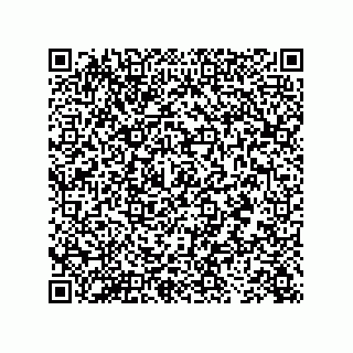 vCard 73843340321