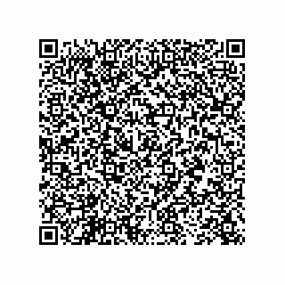 vCard 73843340322