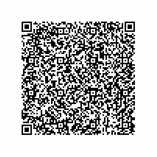 vCard 73843340331