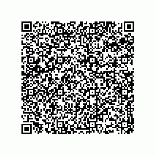 vCard 73843340333