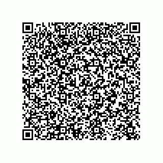 vCard 73843340339