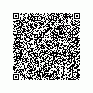 vCard 73843373332