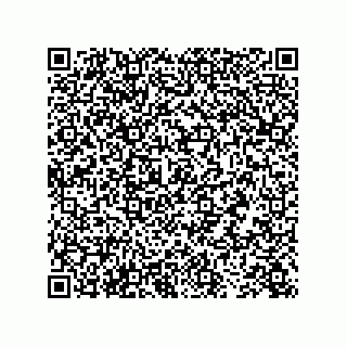 vCard 73843382100