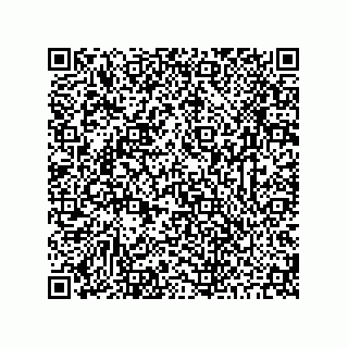 vCard 73843385009