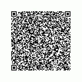 vCard 73843386831