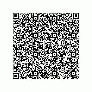 vCard 73843388289
