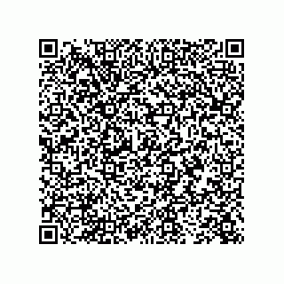 vCard 73843388300