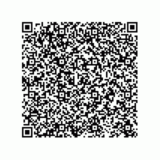 vCard 73843397219