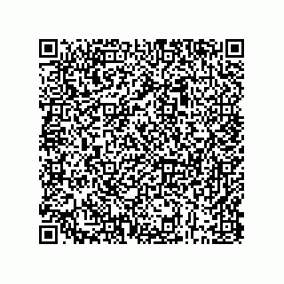 vCard 73843397313