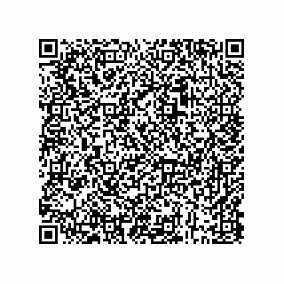 vCard 73843397329