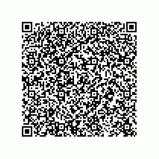 vCard 73843397332