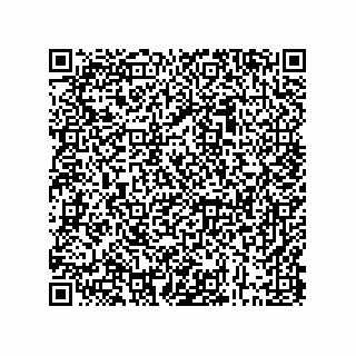 vCard 73843397333