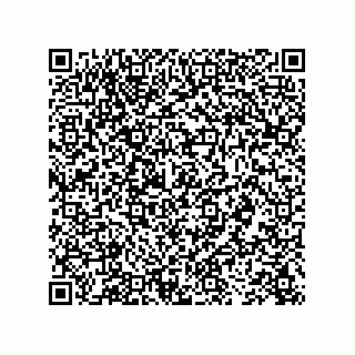 vCard 73843397337