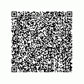 vCard 73843397376