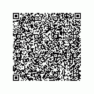 vCard 73843397379