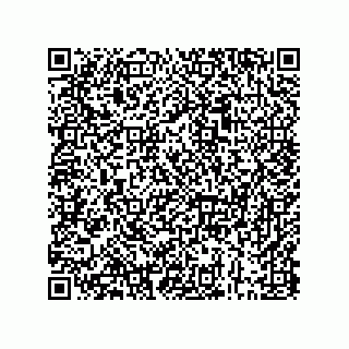 vCard 73843397381