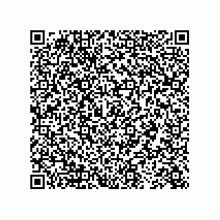 vCard 73843920335