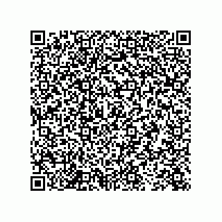 vCard 73843920395