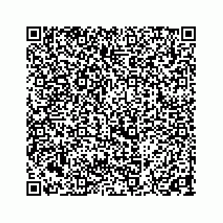 vCard 73844271313