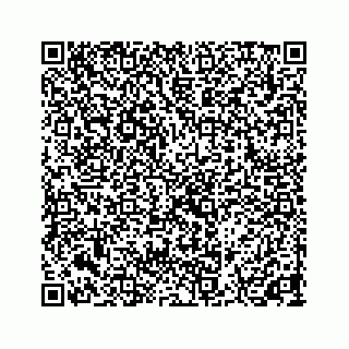 vCard 73844271333