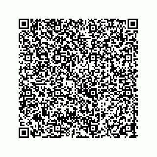 vCard 73844271384