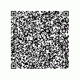 vCard 73844334303