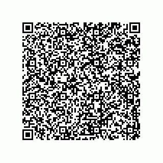 vCard 73844334331