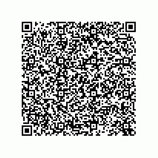 vCard 73845137300