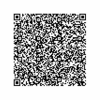 vCard 73845137333