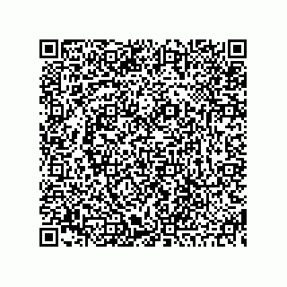 vCard 73845173413