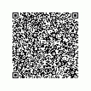 vCard 73845173629