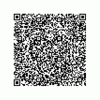 vCard 73845173717