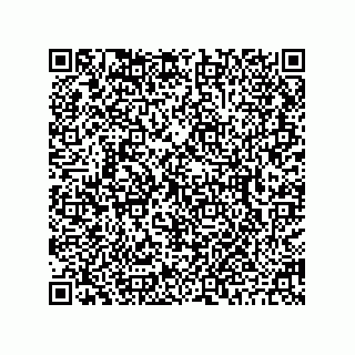 vCard 73845174004
