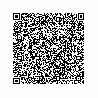 vCard 73845174319
